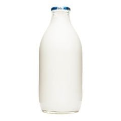 GÜNLÜK TAZE SÜT 5 LT