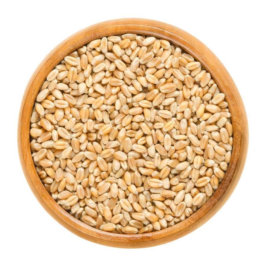 YARMA BUĞDAY KG