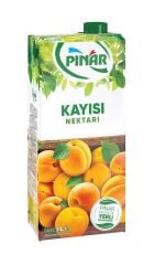 PINAR KAYISI NEKTARI (1LT)